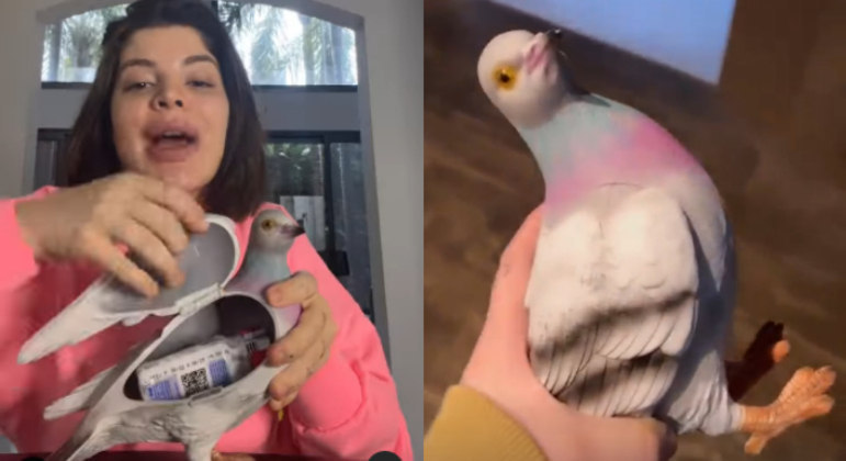 Bolsa de pomboPela bagatela de R$ 5.000, a comediante surpreendeu os fãs com uma bolsa em formato de pombo. O acessório, da grife inglesa JW Anderson, rendeu piadas dos internautas. 'Precisam internar ela', comentou um seguidor