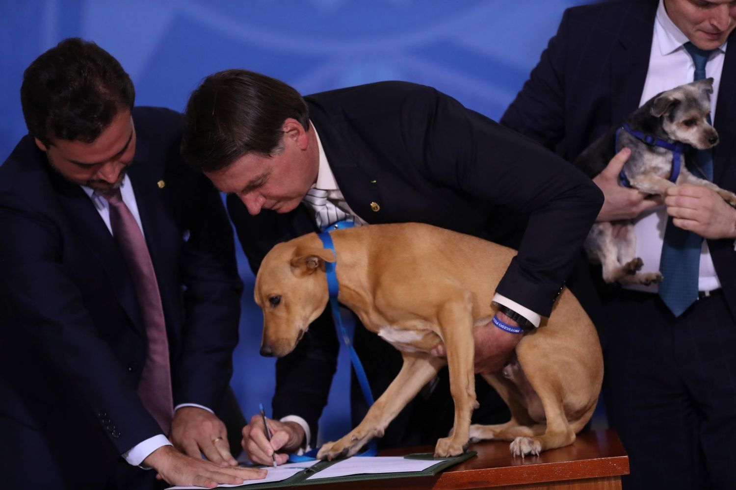 O presidente Jair Bolsonaro, durante a cerimônia de sanção de nova lei