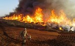 Bombeiro diante de queimada no Mato Grosso do Sul em 23 de agosto de 2019