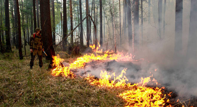 É extremamente complexo para as autoridades debelarem as chamas
