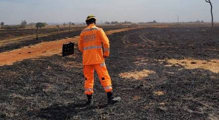 Bombeiros ainda vão calcular tamanho da área destruída