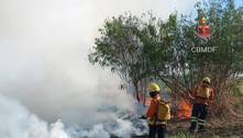 Bombeiros combatem incêndio em matagal próximo à PGR, no DF 