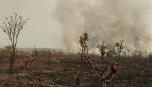 Incêndio já consumiu cerca de 10% do Parque Nacional de Brasília 