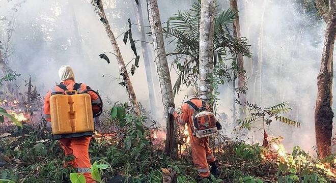 Houve um aumento de 84% nos focos de incêndios florestais ante 2018