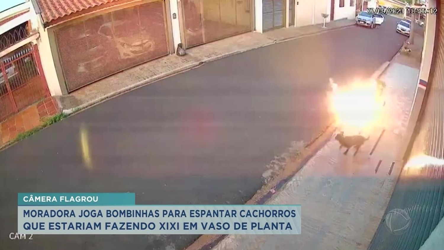 Câmeras ao vivo de Bombinhas