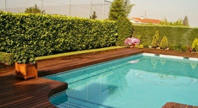 Borda de piscina de alvenaria com deck de madeira no jardim