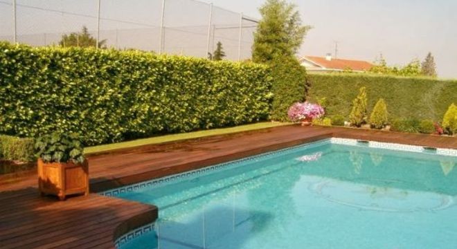 Borda de piscina de madeira