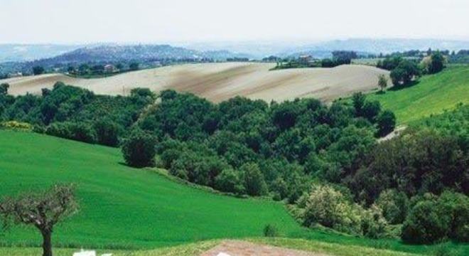 Borda de piscina de vinil