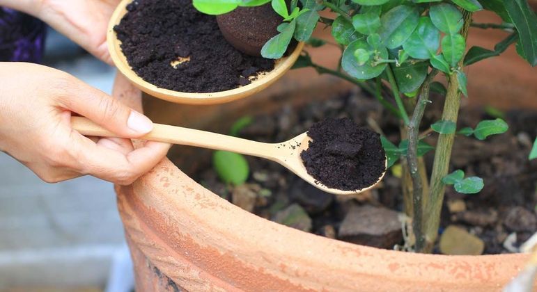 Borra de café - 8 benefícios do resto de pó não utilizado na bebida