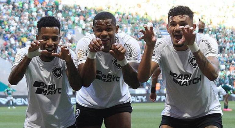 Contra o Goiás, Botafogo atingirá número histórico de público no Nilton  Santos em jogos pelo Brasileirão - Lance - R7 Futebol