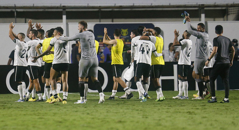 Botafogo embalou no Brasileirão e mira vaga na Libertadores