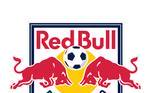 Red Bull Bragantino (1 título)Campeão em: 1990