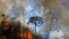 Noruega retomará ajuda ao Brasil contra o desmatamento da Amazônia após vitória de Lula