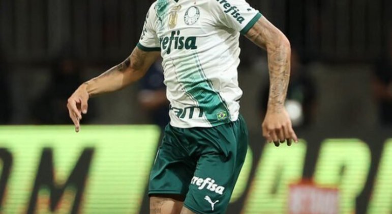 Doentes por Futebol - Quando você acha que será dessa vez que o Palmeiras  vai entregar, ele ressurge. A liderança do Brasileirão permanece! 🐷☝️ 📷  Cesar Greco, SE Palmeiras