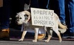 London (United Kingdom), 19/10/2019.- A dog with a placard attends the 'Together for the Final Say' march against Brexit in London, Britain, 19 October 2019. Hundreds of thousands of people are taking part in the protest march calling for a referendum on the final Brexit deal on 'Super Saturday', as members of parliament sit in the House of Commons in London to debate and vote on Prime Minister Boris Johnson's final Brexit deal. (Protestas, Reino Unido, Estados Unidos, Londres) EFE/EPA/VICKIE FLORES
