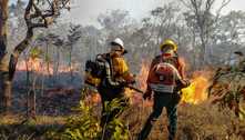 Focos de incêndios crescem 22% no DF, mas área queimada cai 50%