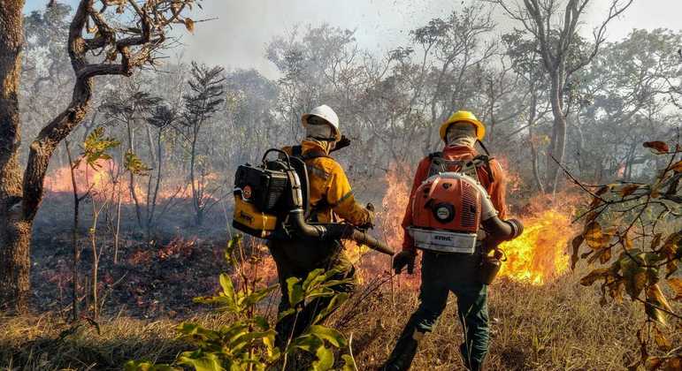 Maior parte dos incêndios dessa época do ano são deflagrados pela ação humana