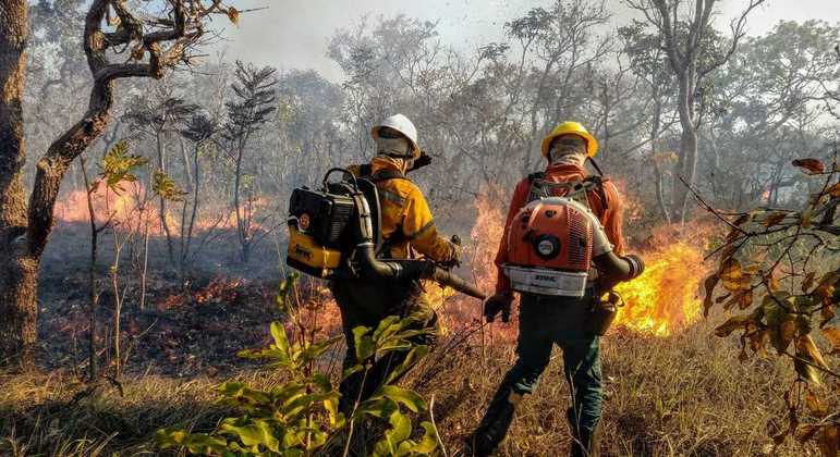 Maioria dos incêndios no Cerrado nesta época do ano são provocados pela ação humana