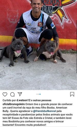 Abraçado a cães, Bruno recomenda canil. A crueldade não tem limite - Prisma  - R7 Cosme Rímoli