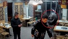 Búfalo maluco invade restaurante e nocauteia cliente com chifrada