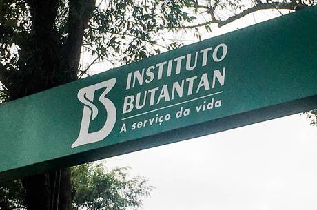 Butantan poderá produzir vacina em larga escala