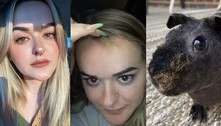 Cabeleireira dorme bêbada e tem parte do cabelo arrancada por preá
