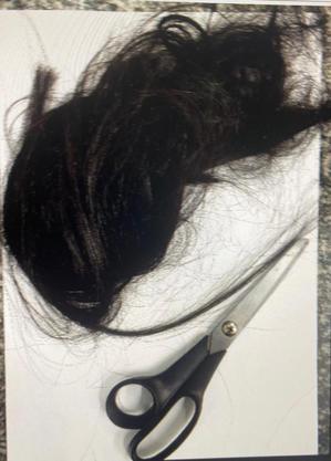 Cabelo e tesoura usada no crime