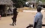 A publicação também afirma que pessoas de fora da comunidade viajam quilômetros para testemunhar a façanhaBombou no HORA 7! Jogo macabro: 'Homem Pateta' pode estar ligado à morte de menino de 11 anos