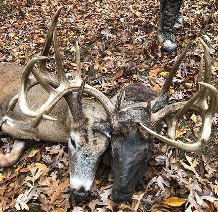 Freak Buck Had Corneal Dermoids. Yes, Hairy Eyeballs.