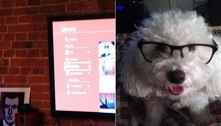 Relembre o caso do cachorro acusado pelo tutor de comprar filmes adultos na smart TV 