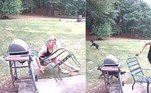 Um cachorro destrambelhado não teve o menor cuidado com a dona, ao avistar um esquilo no quintal da casa onde vivem, em Auburn, na Geórgia (EUA)