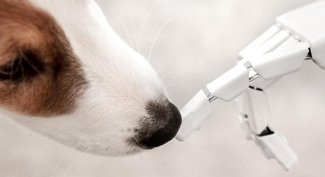 Um robô poderá alimentar seu animal de estimação no futuro?
