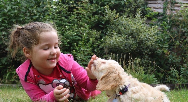 Avança em SP projeto que permite animais de estimação nas escolas