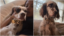 Anitta mostra cachorro de estimação usando coleira de luxo de R$ 2.000