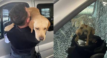 Cachorro é resgatado de trailer por polícia no Reino Unido