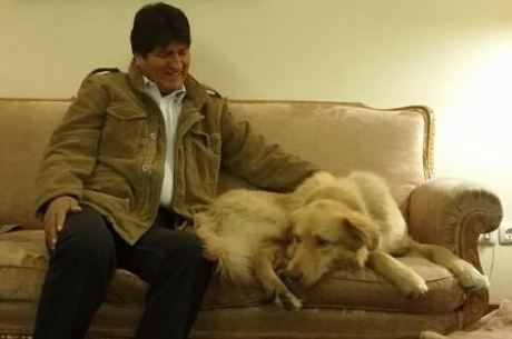 Evo e seu cão, Ringo, em reunião oficial