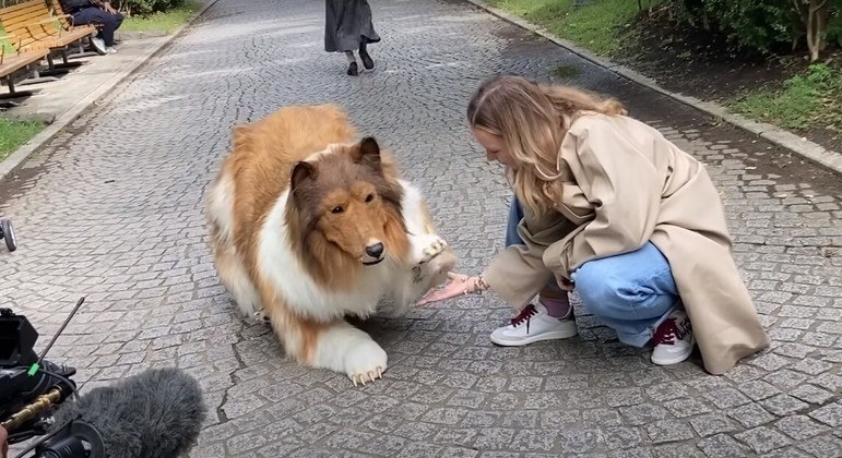 Recentemente, Toco fez seu primeiro passeio público e até interagiu com outros cães
