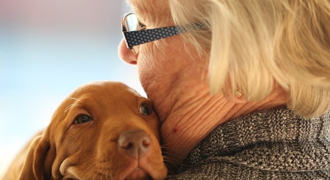 Animais de estimação ajudam idosos a serem fisicamente mais ativos