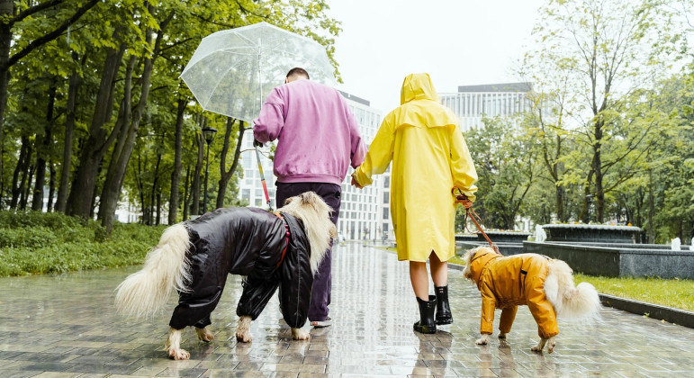 Passear com os cães durante o tempo de chuvas pode se tornar um desafio