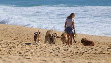 Começa a valer em Santos (SP) lei que permite cachorros na praia