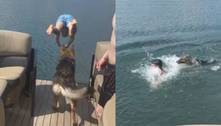 Protetor até demais! Cachorro salta no mar para 'salvar' tutor em resgate desnecessário