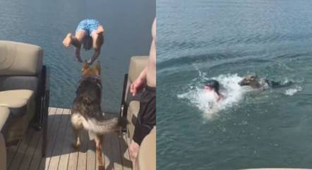 Cachorro pula de barco para resgatar tutor
