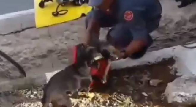  (Crédito: Reprodução/ Twitter)