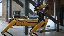 Empresa equipa cachorro robô com IA e o transforma em um guia turístico tagarela