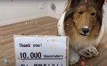 O canal, inclusive, é apropriadamente chamado 'I want to be an animal' (Eu quero ser um animal, em bom português), e recentemente ele agradeceu por ter atingido a marca de 10 mil inscritos