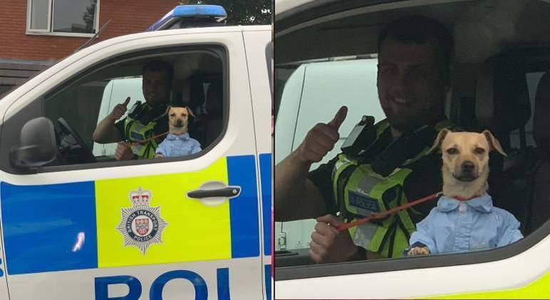 Cachorro com camisa social foi resgatado por policiais e ainda 'posou' para foto