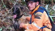 General diz ser ‘improvável’ encontrar Wilson, cão que ajudou a resgatar as crianças colombianas 