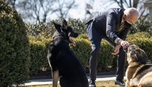Cão de Biden causa ferimento 'leve' em agente, diz Casa Branca