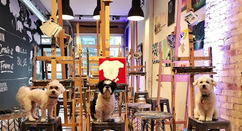 Tutores de pet vão se reunir em Toronto, no Canadá, para pintar quadros de seus animais