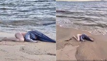 Banhistas se desesperam ao encontrar 'cadáver nu' em praia, mas era boneca de borracha